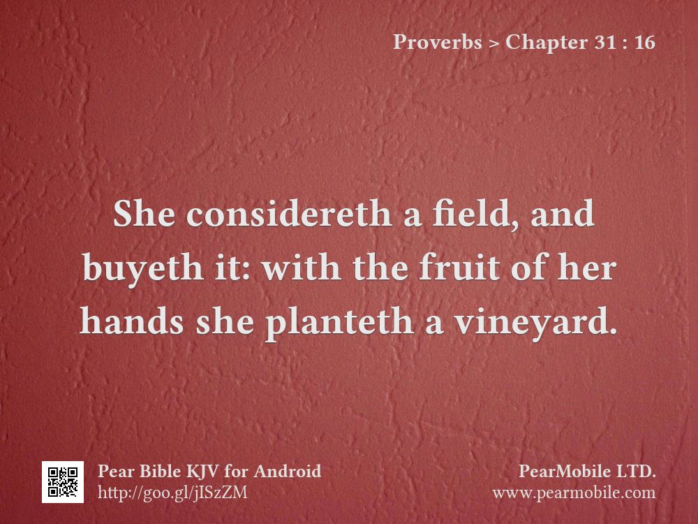 Proverbs, Chapter 31:16